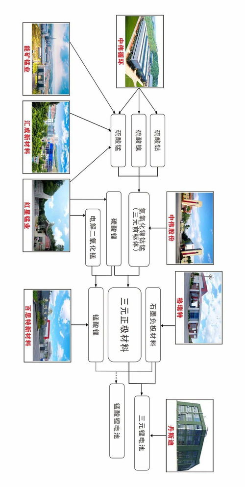 一图读懂丨带你了解大龙新型功能材料产业链